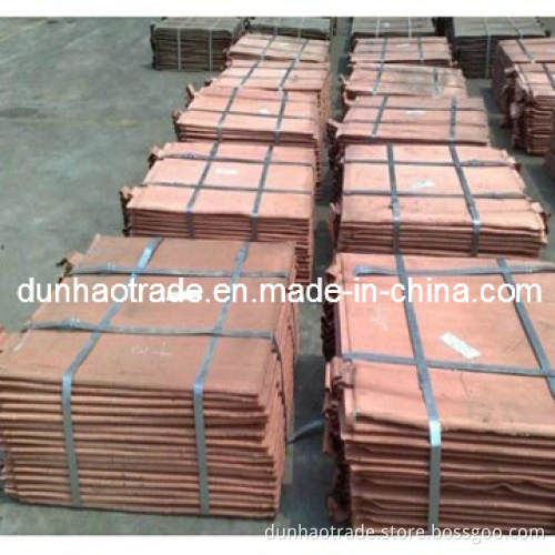 Good Price of Standard Copper Cathode 99.99%